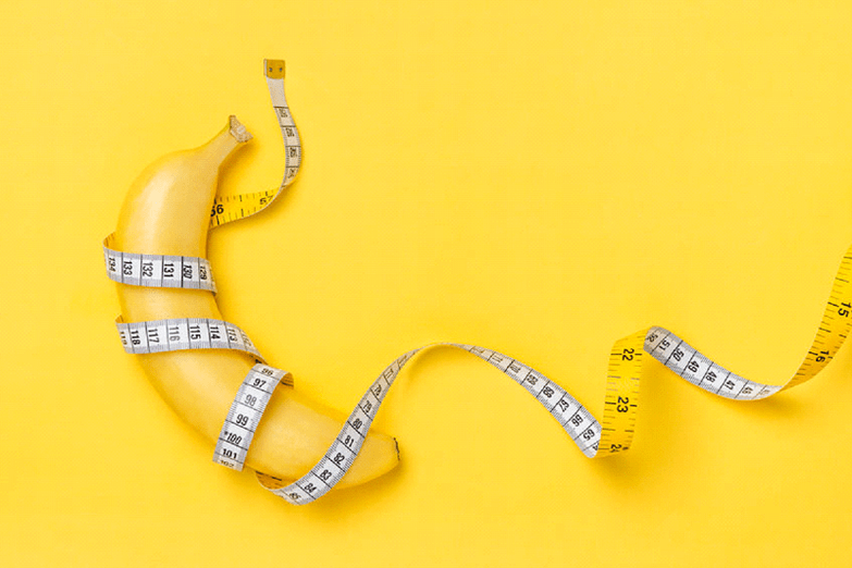 The average size of the penis is in erection - 13.12 cm